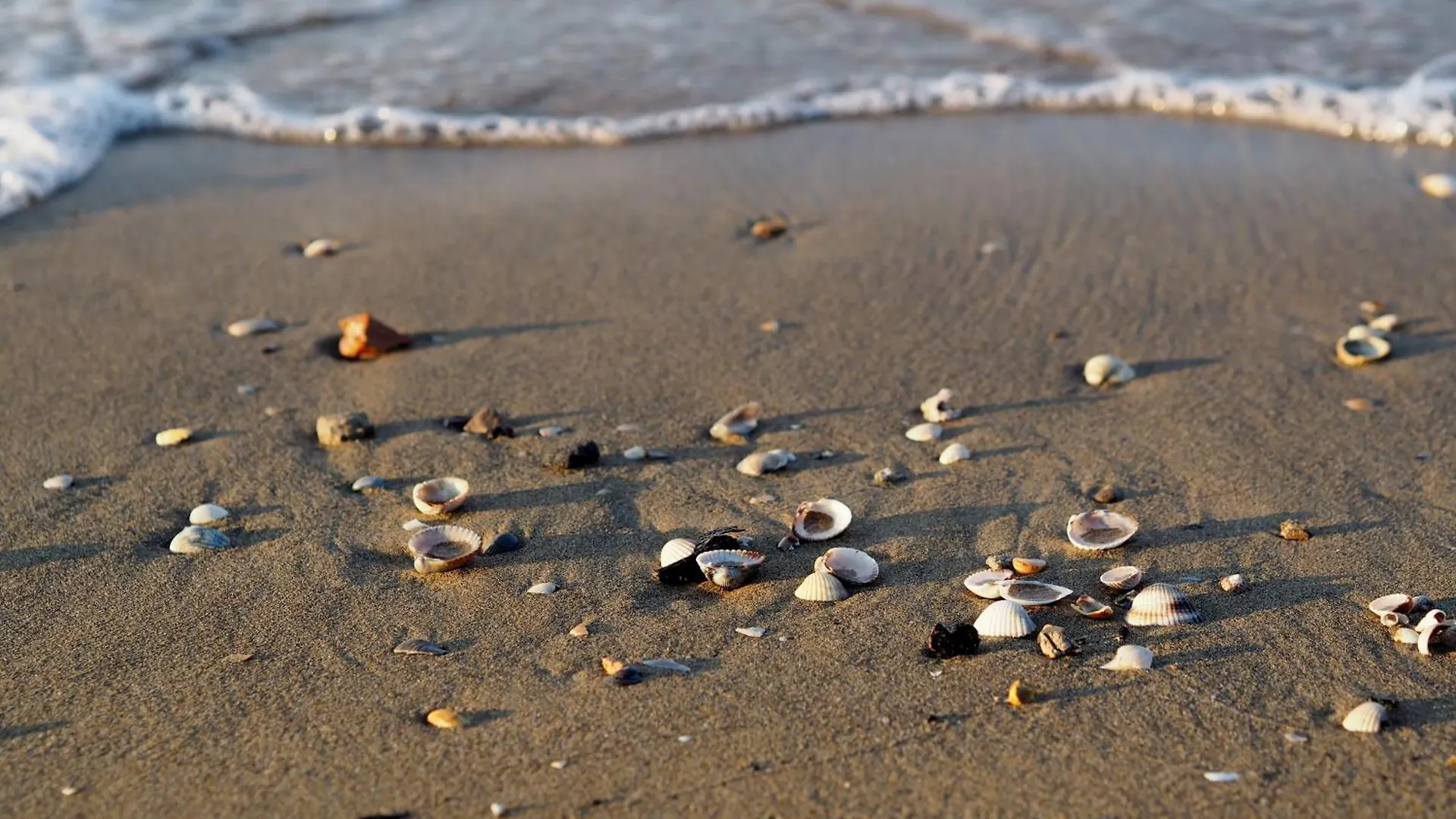 Beachside Tranquility In Our 1 Bedroom Apartment By Beahost Rentals Bibione